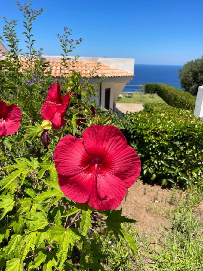 Villa Sofia *Luxury Experience In Calabria Цамброне Экстерьер фото
